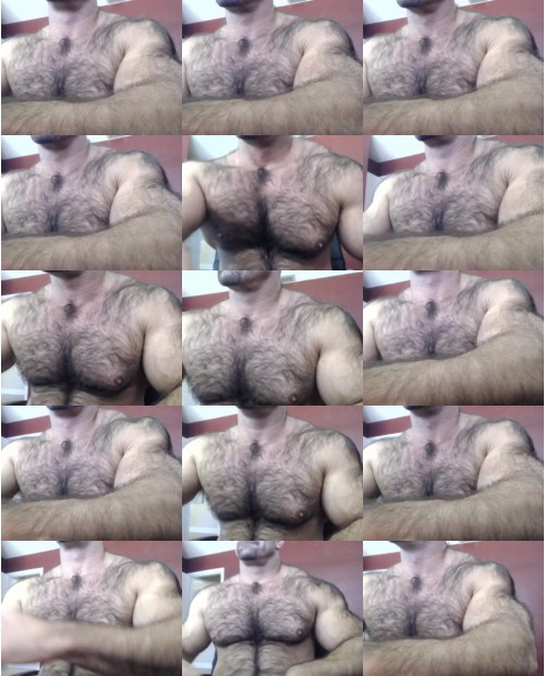 Download Video File: cam4 bullbud