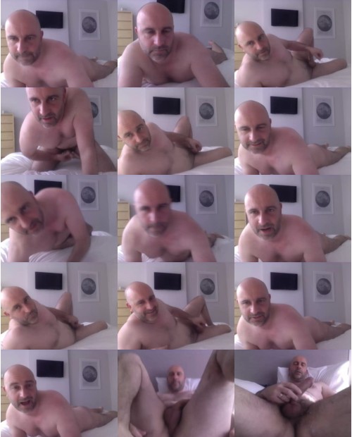Download Video File: cam4 dogday5