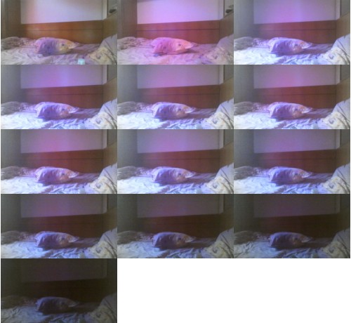 Download Video File: cam4 olgutza28