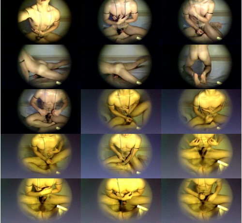Download Video File: cam4 willpenguin