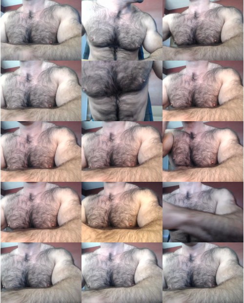 Download Video File: cam4 bullbud
