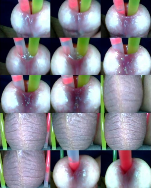 Download Video File: cam4 funtus
