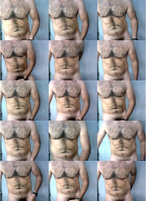 Download Video File: cam4 ciervo
