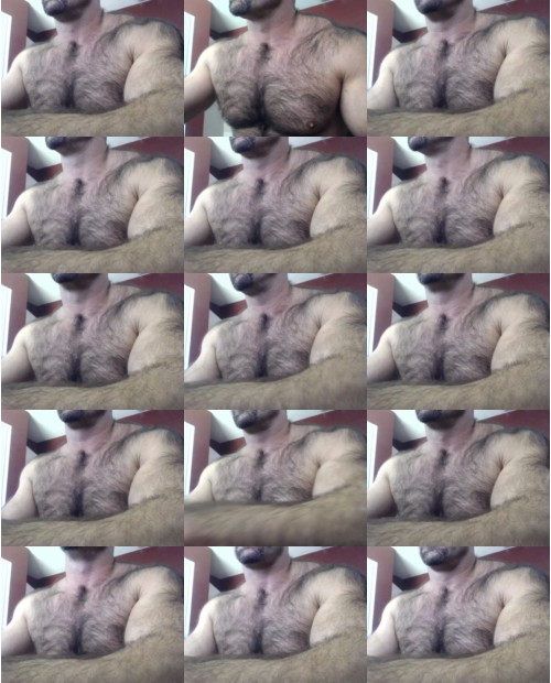 Download Video File: cam4 bullbud