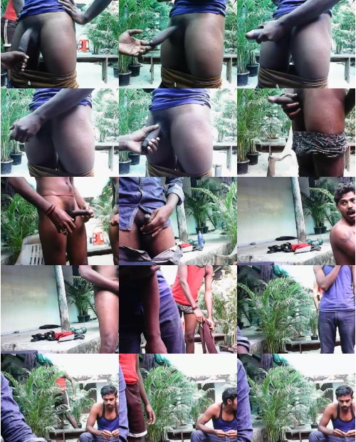 Download Video File: cam4 enjoyxtra
