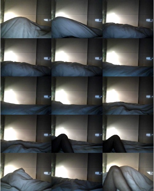 Download Video File: cam4 iljs2011