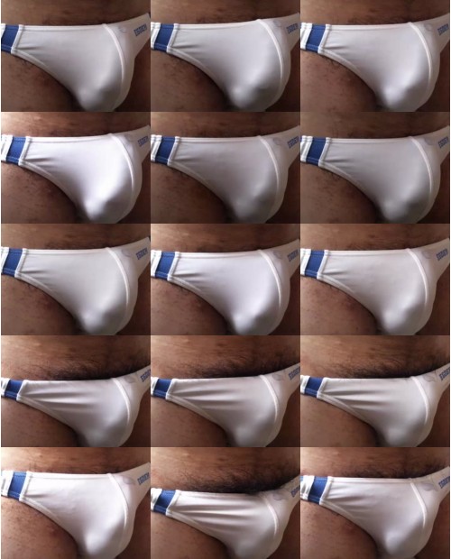 Download Video File: cam4 selatanensis