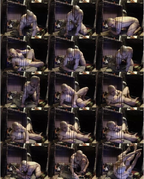 Download Video File: cam4 boy2servu