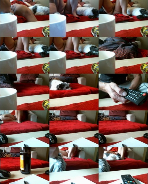 Download Video File: cam4 wir7260