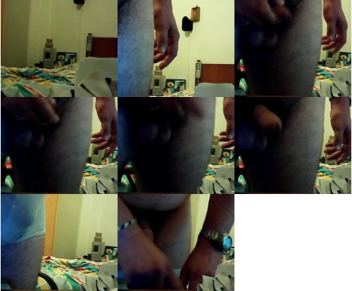 Download Video File: cam4 gattino1