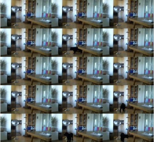 Download Video File: cam4 sallec0405