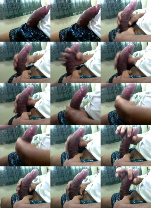 Download Video File: cam4 recif