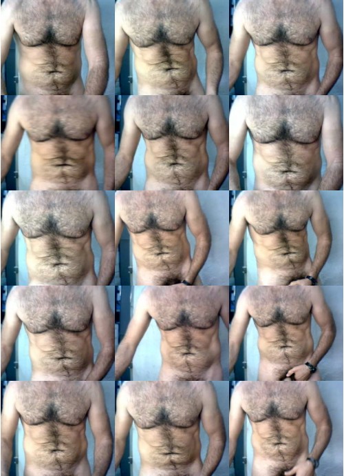 Download Video File: cam4 ciervo