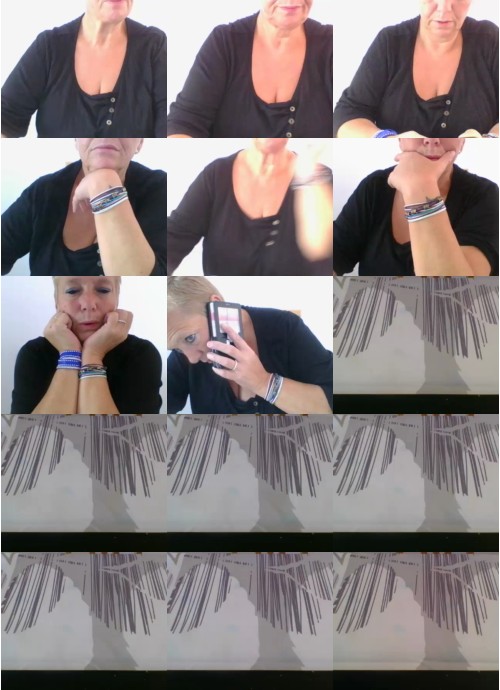 Download Video File: cam4 megane3340