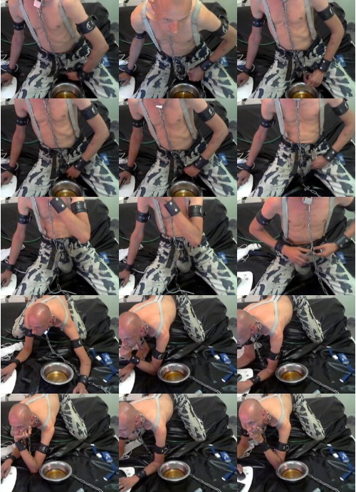 Download Video File: cam4 skinpig 666