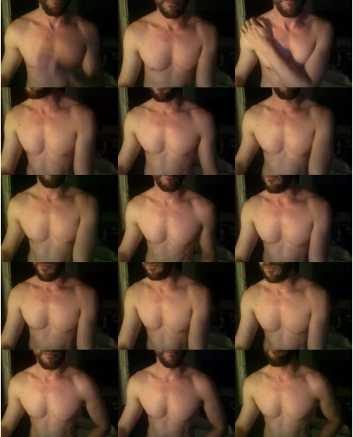 Download Video File: cam4 bumblebee  