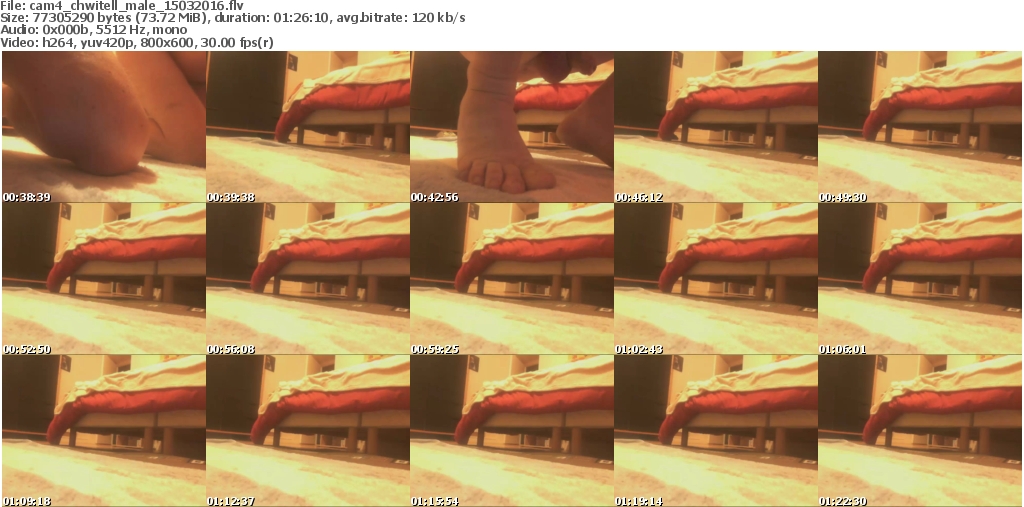 xxxwildcatxxx video xxxwildcatxxx video