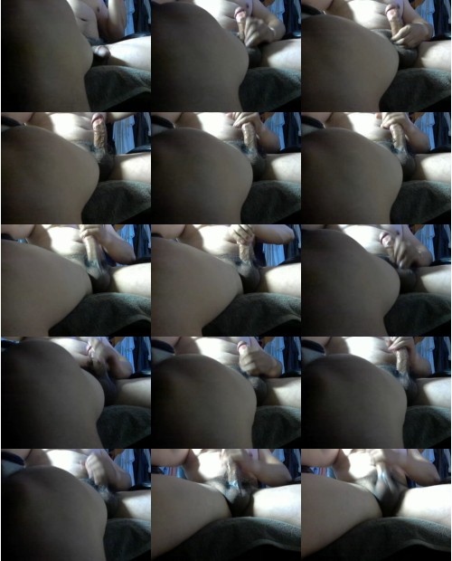 Download Video File: cam4 bear 520