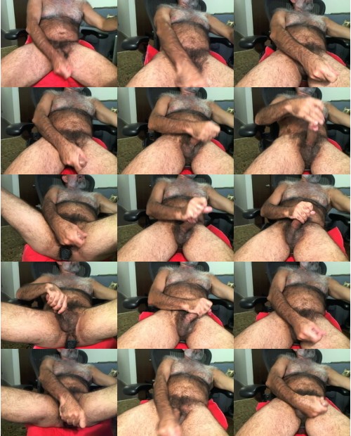 Download Video File: cam4 realhairynyc