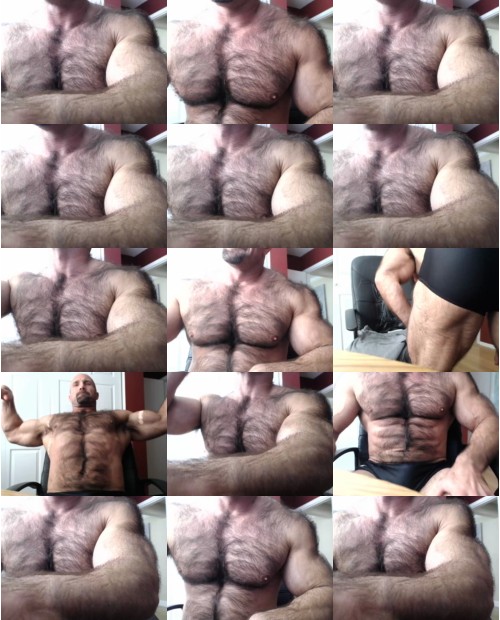 Download Video File: cam4 bullbud