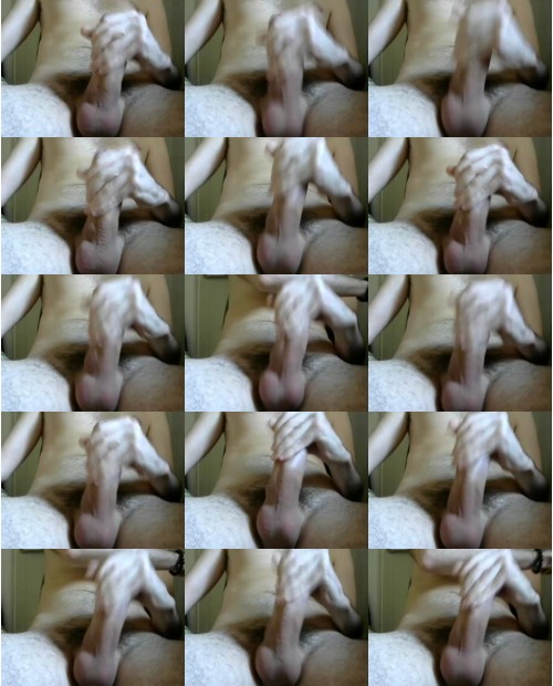 Download Video File: cam4 stepx91