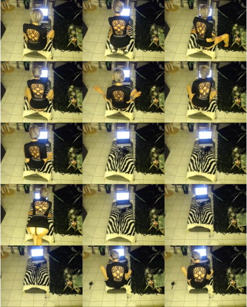 Download Video File: cam4    sina   