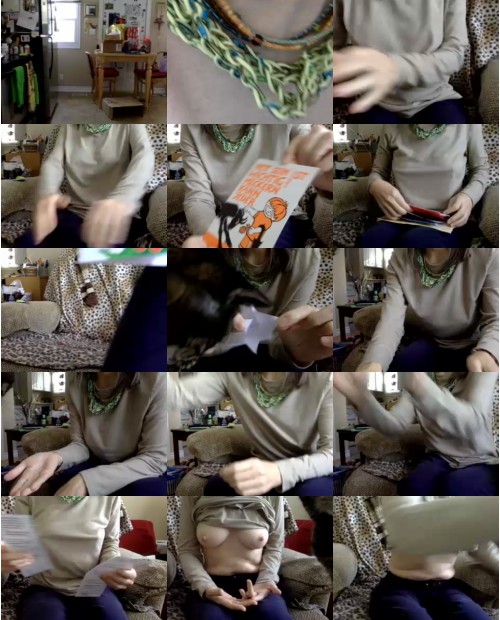 Download Video File: cam4 vbsis