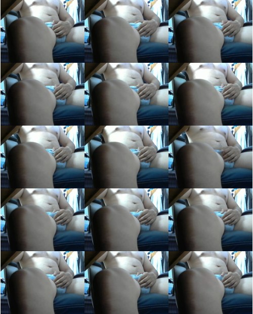 Download Video File: cam4 bear 520
