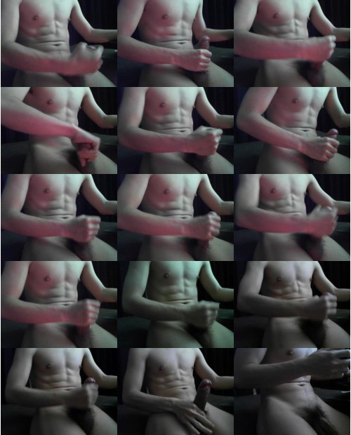 Download Video File: cam4 walrus s