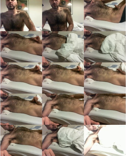 Download Video File: cam4 tree81