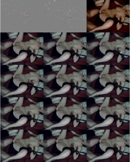 Download Video File: cam4 everexalted