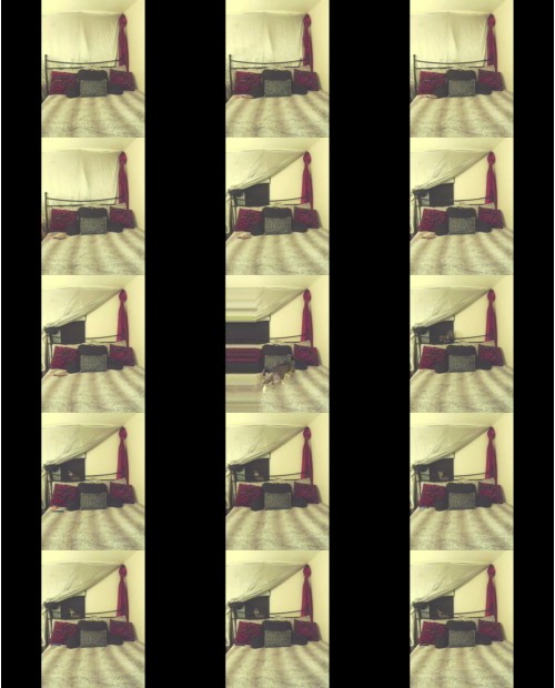 Download Video File: cam4 mistresslane