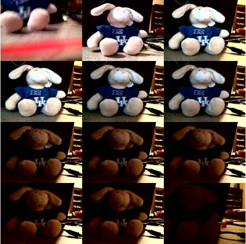 Download Video File: cam4 hilljackky