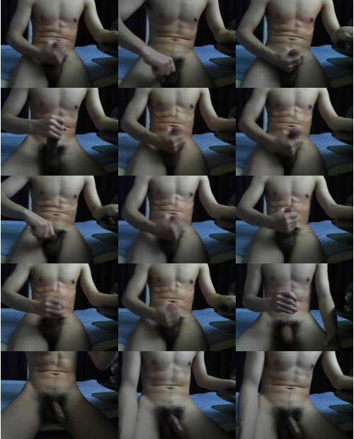 Download Video File: cam4 walrus s