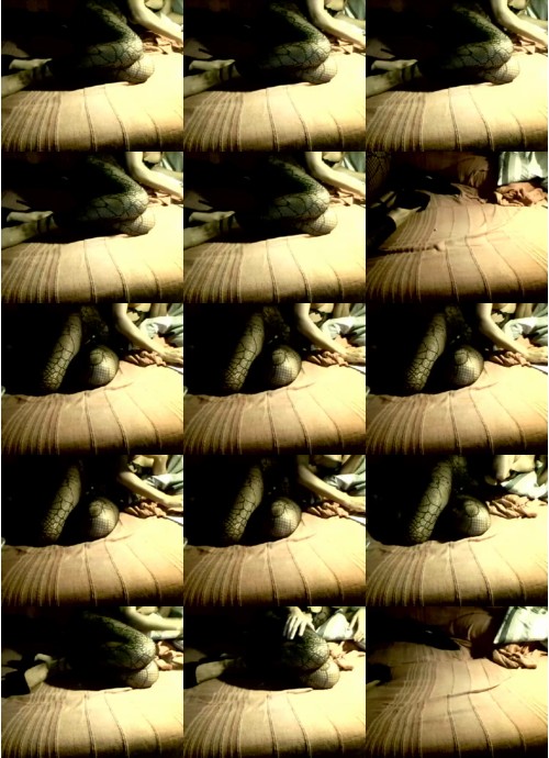Download Video File: cam4 cherrydream2