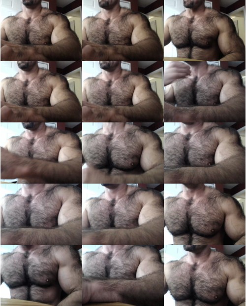 Download Video File: cam4 bullbud