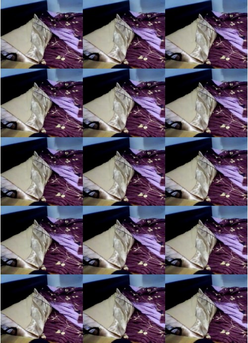 Download Video File: cam4 hall241