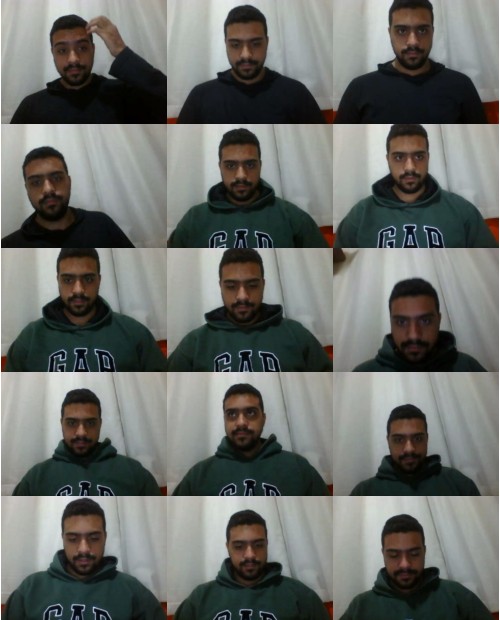 Download Video File: cam4 13rps
