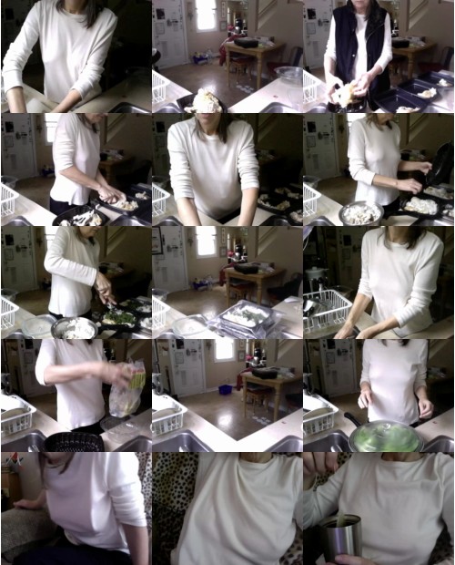 Download Video File: cam4 vbsis