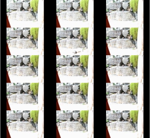 Download Video File: cam4 wir7260