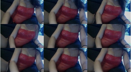 Download Video File: cam4 gattina 1