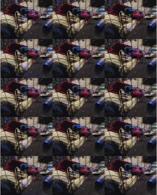Download Video File: cam4 boy2servu