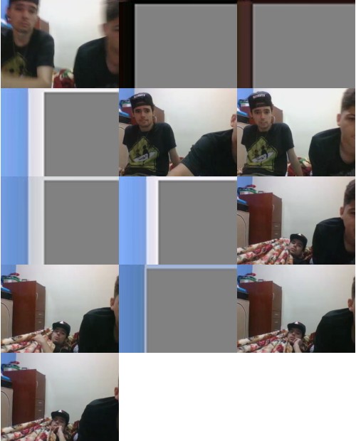 Download Video File: cam4 pallyvyrus