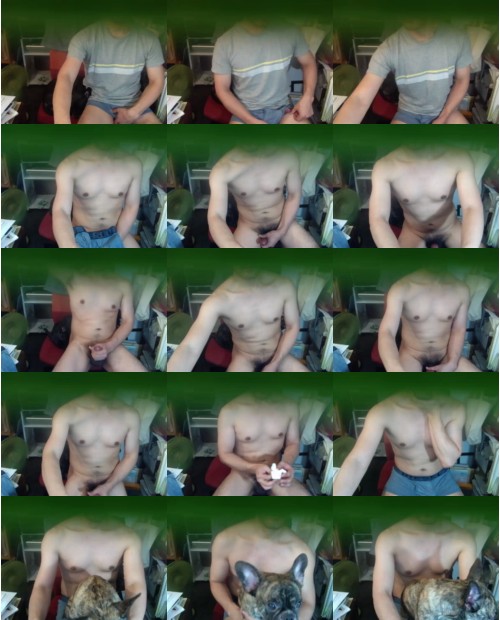 Download Video File: cam4 tigre555