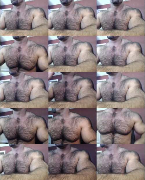 Download Video File: cam4 bullbud