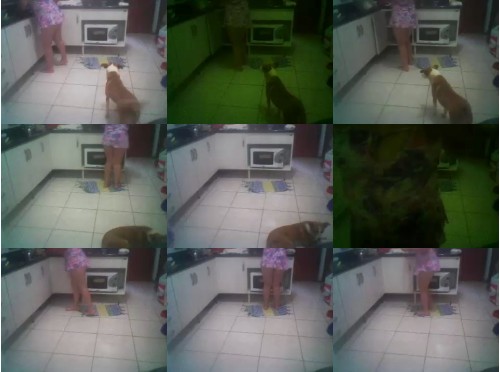 Download Video File: cam4 casaltopasex