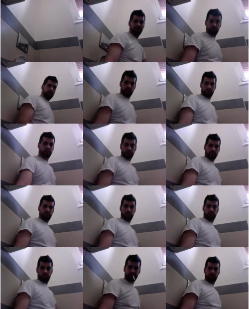 Download Video File: cam4 wild0083