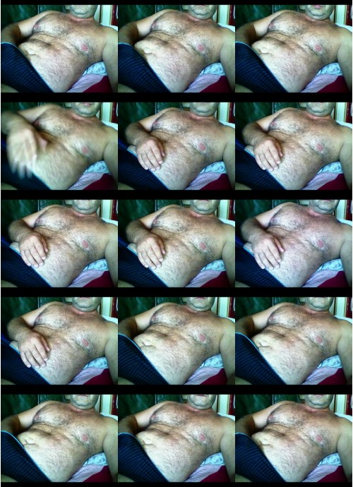 Download Video File: cam4 pelosibear