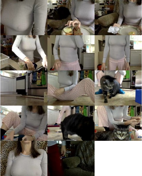 Download Video File: cam4 vbsis