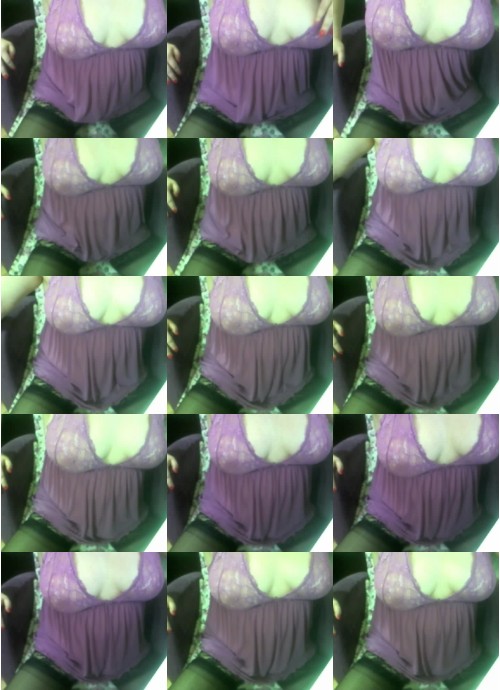 Download Video File: cam4 hinzirrr